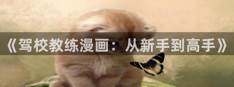 韩漫画无遮挡歪歪漫画：《驾校教练漫画：从新手到高手》